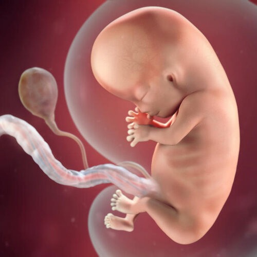 pregnancy-week-10-fingernails_square