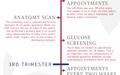 Pregnancy: a timeline of appointments