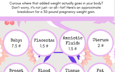 Pregnancy Weight Gain